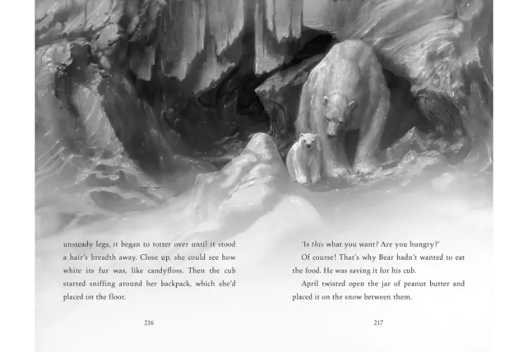 Finding Bear - Image 3