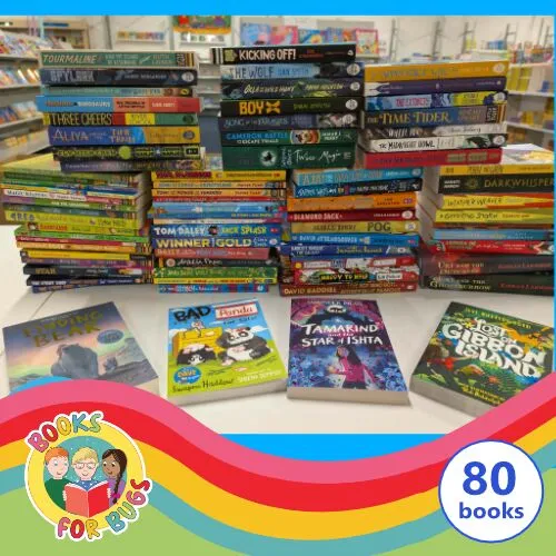 Big Box of Bargain Books for KS2