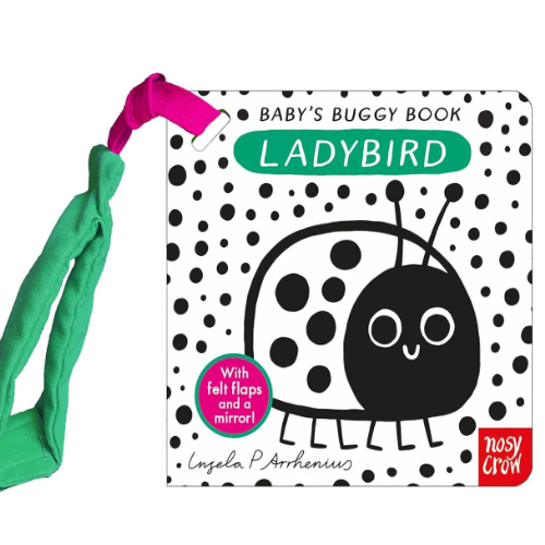 Baby's Buggy Book Ladybird